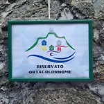 Ortacolorhome Greenhome-boleto *