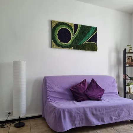 Ortacolorhome Greenhome-boleto